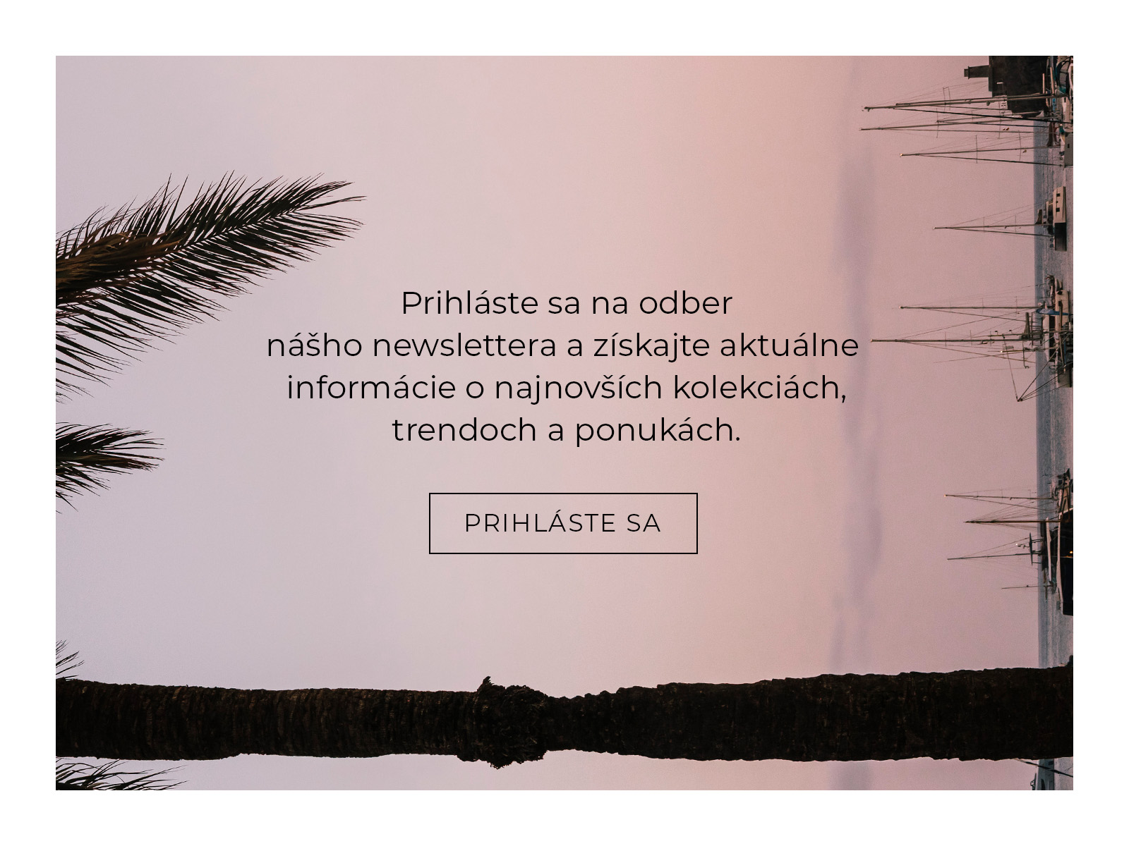 Text nabádajúci na odber newslettera na pozadí paliem a pastelovej oblohy pri západe slnka.