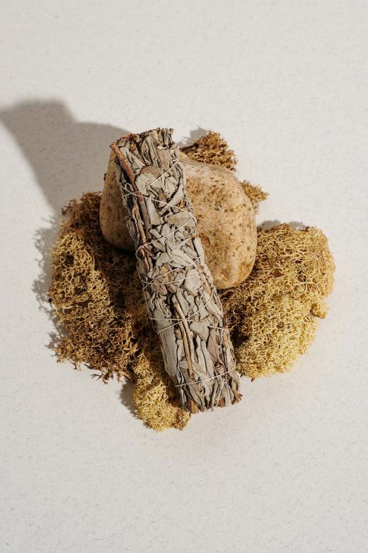 BIAŁA SZAŁWIA 15 CM