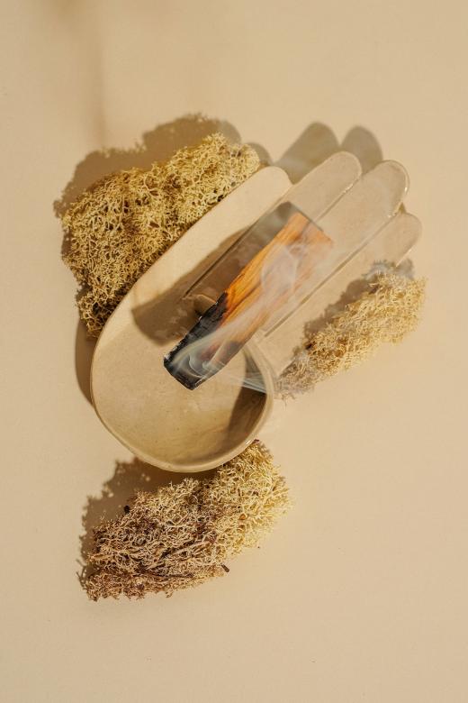 PALO SANTO